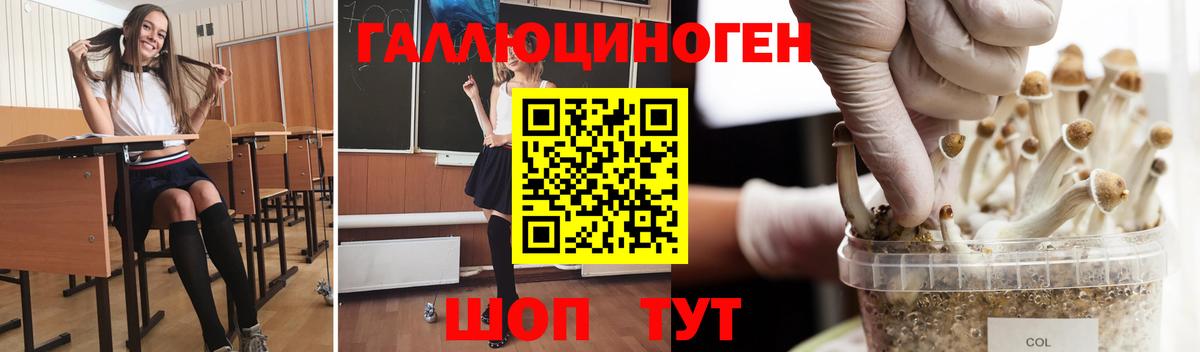 Псилоцибиновые грибы Psilocybe  Псилоцибиновые грибы Cubensis  Вход с VPN  Гагарин 